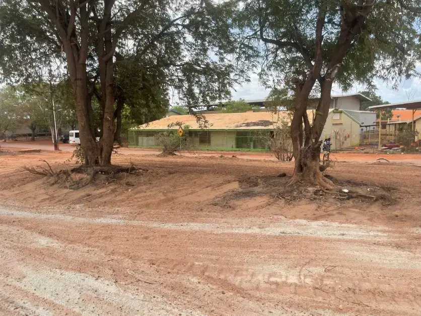 Two trees beside a dusty road and buildings.