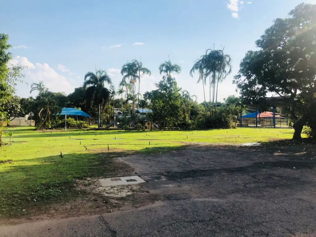 Sunny park with palm trees and playground